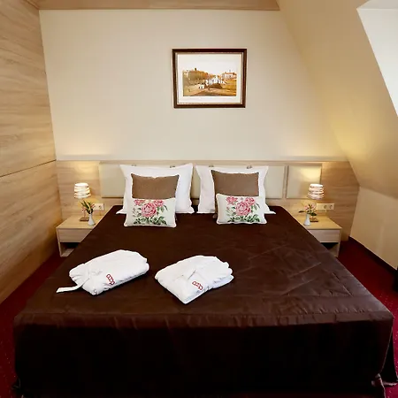 酒店 索菲亚库奥普酒店 4*